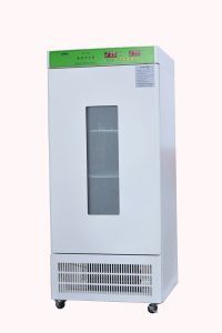 SPX-300（II）生化培养箱