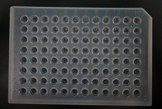 PCR板—0.2ml&amp;宽裙边&amp;透明