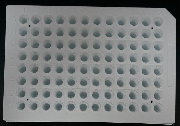 PCR板—0.2ml&amp;宽裙边&amp;白色