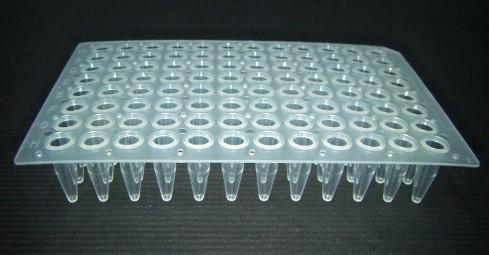 普兰德PCR板96孔