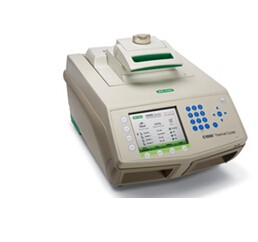 进口伯乐梯度PCR仪C1000