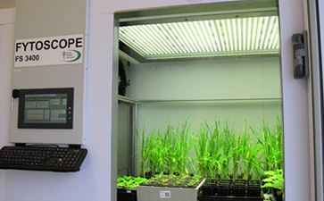 FytoScope FS-SI步入式植物生长箱
