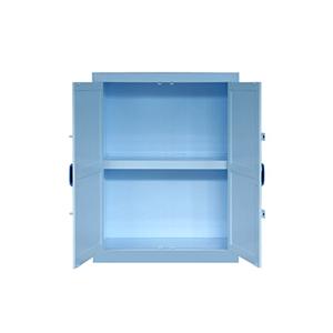 30加仑 强酸碱柜  OLB30P