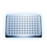 德国Eppendorf twin.tec荧光定量PCR板