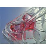 Greiner Bio-One ThinCert 插入式细胞培养器 培养板