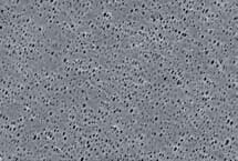 Whatman 聚酰胺膜圆片滤膜（NL17）0.45μm孔径 25mm 10414106