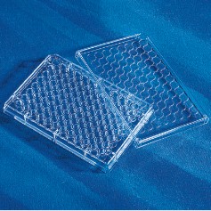 3596 Costar CellBIND 96孔细胞培养板