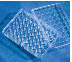 Corning CellBIND Costar 48孔细胞培养板3548