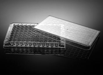 NEST&#174; 96孔细胞培养板，透明，平底，PS，TC，EB灭菌 701001