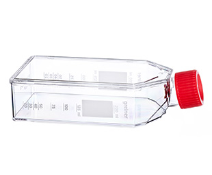 贴壁细胞培养瓶（TC处理，灭菌）658175 75cm&#178;，红色滤盖