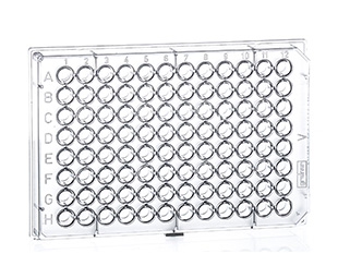 Greiner 96孔细胞培养微孔板（聚苯乙烯，TC表面处理，灭菌）651180 V型底，透明色，带