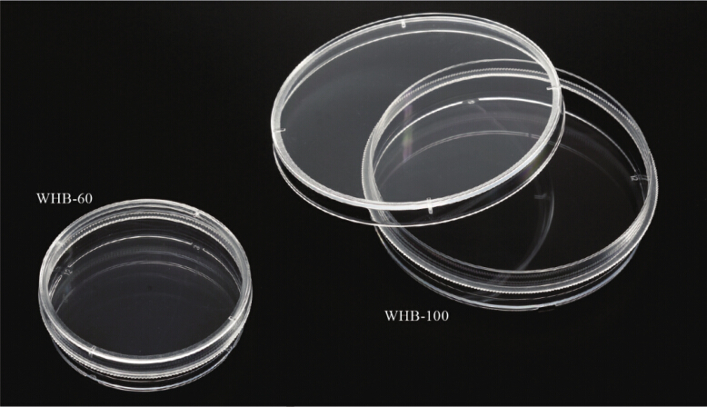 WHB细胞培养皿
