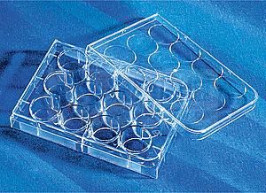 康宁/Corning12孔细胞培养板3513 TC表面，无菌无热源