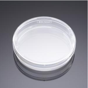 BD-353802细胞培养标准平皿