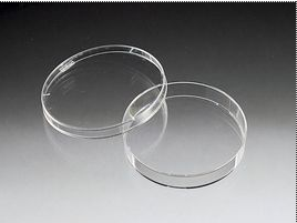 BD-351029细菌学巴氏培养皿