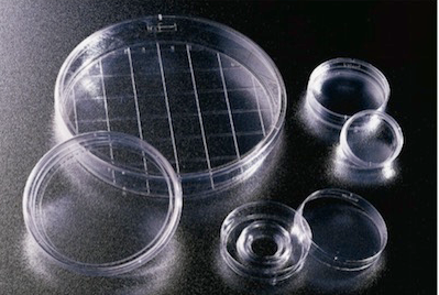 BD-351058细菌学巴氏培养皿 标准平皿