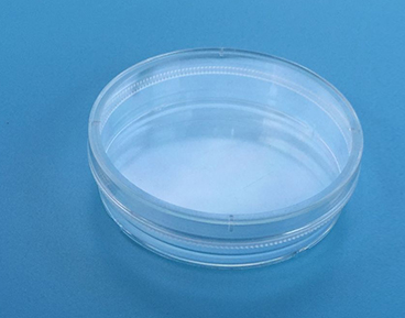 BD-细胞培养皿-353801