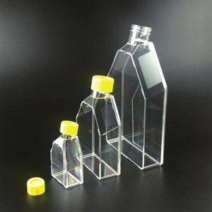 WHB-CCF25细胞培养瓶