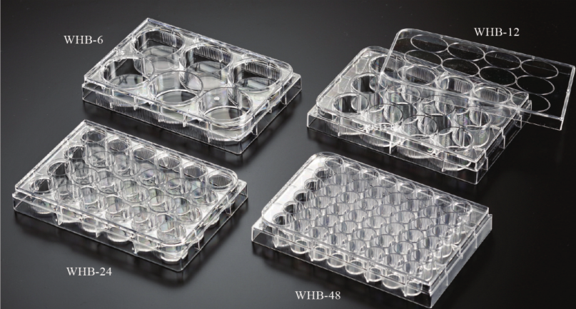 卧宏/WHB细胞培养板-WHB-6
