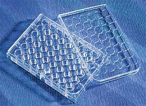 康宁48孔细胞培养板