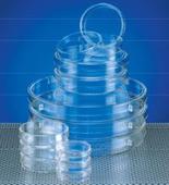 BD易握型细胞培养皿353801，351008