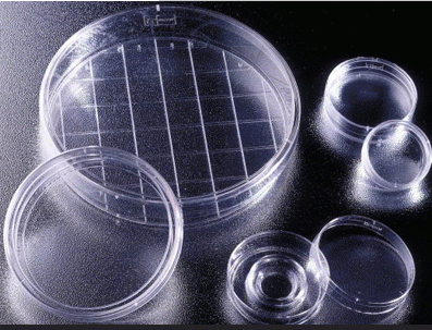 BD 易握型培养皿，细菌培养皿，353801