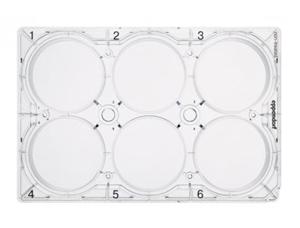 细胞培养板，6 孔，0030720130