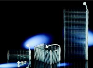 Nunc活性通气细胞培养工厂