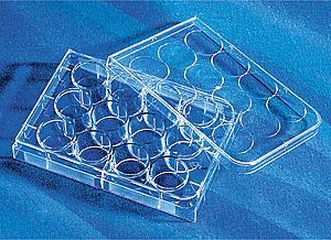 Corning 96孔板 DNA结合表面 黑色 PS材质 无盖 单个包装 2498