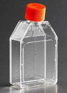 康宁细胞培养瓶430168