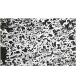 25007-013 N德国Sartorius尼龙滤膜(Polyamide）