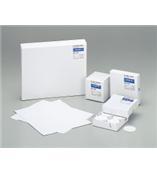 Advantec 石英纤维滤纸 QR-200