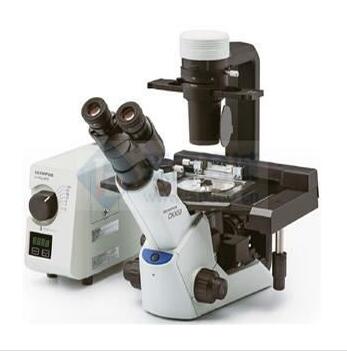 奥林巴斯倒置显微镜CKX53
