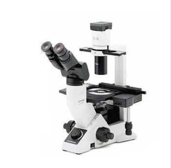 临床型CKX41奥林巴斯倒置生物显微镜