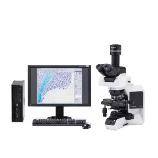 OLYMPUS奥林巴斯BX53生物显微镜 三目/荧光/相差