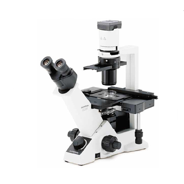 奥林巴斯倒置显微镜CKX41 三目/摄像/相差/荧光