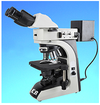 LB-612双目金相显微镜