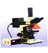 XSP-12CⅠ荧光显微镜