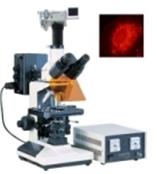 MF20落射荧光显微镜