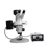 体视荧光显微镜MZX80