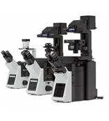 IX3系列倒置显微镜