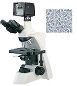 数码生物显微镜XSP-13CD