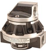 FPD1004高流量容积式流量计