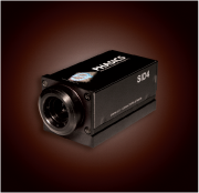 SID4bio活细胞定量相位分析仪