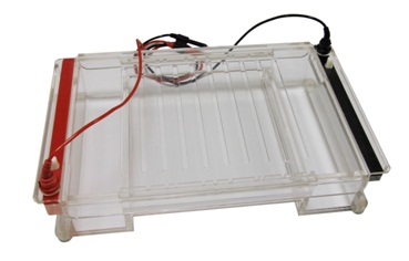 Hini364水平电泳槽