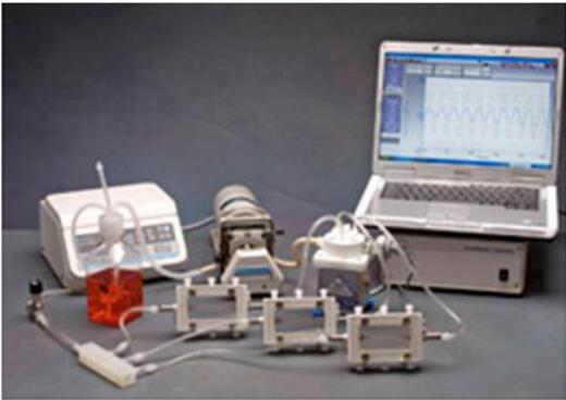 Lumegen三维血管机械力刺激生物反应器，血管组织搏动、压应力培养刺激三维机械力刺激培养系统,Lu