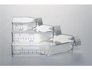 细胞培养瓶（T-25，0030710118）