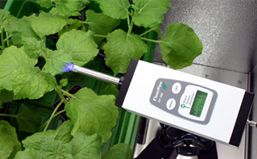 Monitoring Pen MP 100植物叶绿素荧光测量仪
