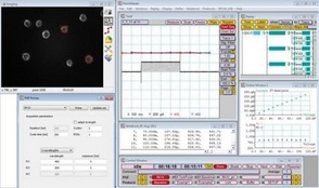离子成像软件Smartlux