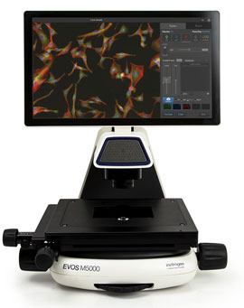 EVOS M5000 细胞成像系统